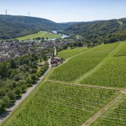 Fotoshooting Spessart-Mainland 2024, © Spessart-Mainland/ILE Südspessart/Holger Leue